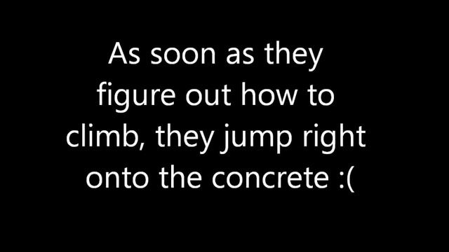 Baby Goose Saga 2013 смотреть онлайн