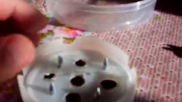 Вакуумная поилка для цыплят.(Своими руками).