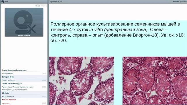 Флуревиты - научный подход. смотреть онлайн