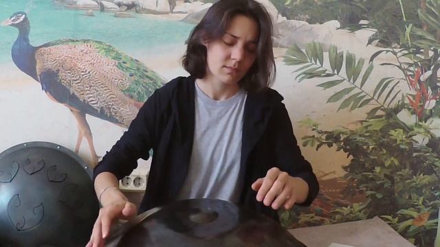 Хэндпан строй Хоккайдо F#  Теперь настроен