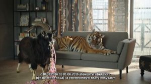 Реклама Билайн - "С нами не отключишься"