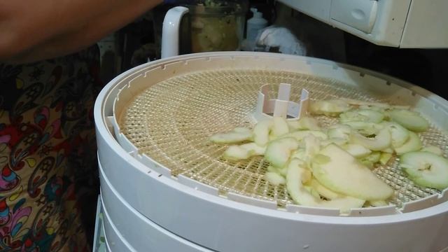 Сушка кабачков на зиму для хранения. смотреть онлайн