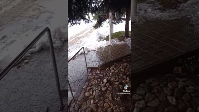 Прыжок в бездну: роковая ошибка утонувшей в проруби жительницы Петербурга! соболезнуем! все добра смотреть онлайн