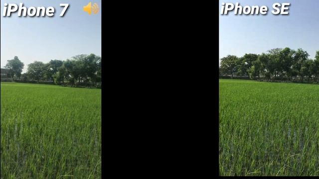 iPhone 7 Vs iPhone SE Camera Comparison In_2023 | Sokhing Result ?? смотреть онлайн
