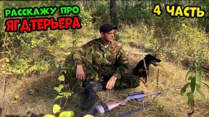 Держу Ягдтерьера (4-ЧАСТЬ)  #ягдтерьер #волкмикс #ягдтерьерволкмикс #volkmix