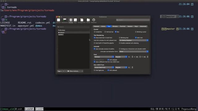 手把手一起安装 on-my-zsh 主题 смотреть онлайн