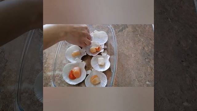 Приключения на Воде