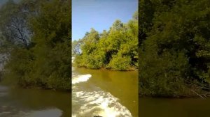 Лодочный мотор Москва М