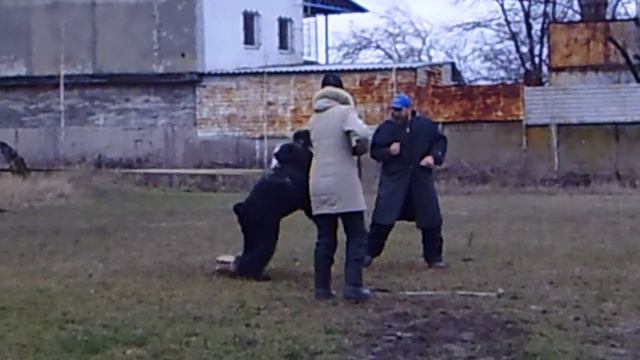 Горка легко гасит черного плаща . смотреть всем 01,12,19 смотреть онлайн