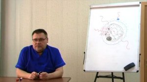 Понятие флюида в биодинамике