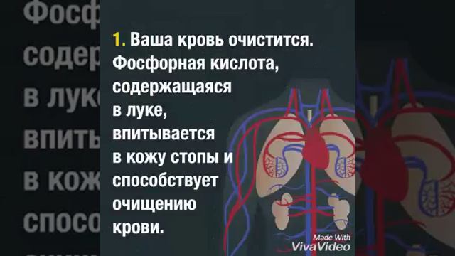 Лук всему голова! смотреть онлайн
