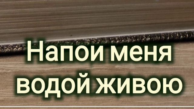 Молитвенный псалом / о Библии МСЦ ЕХБ смотреть онлайн