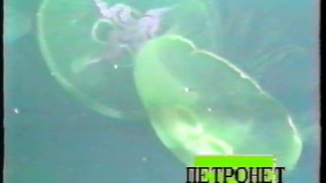 Кильская парусная неделя Часть 2 смотреть онлайн