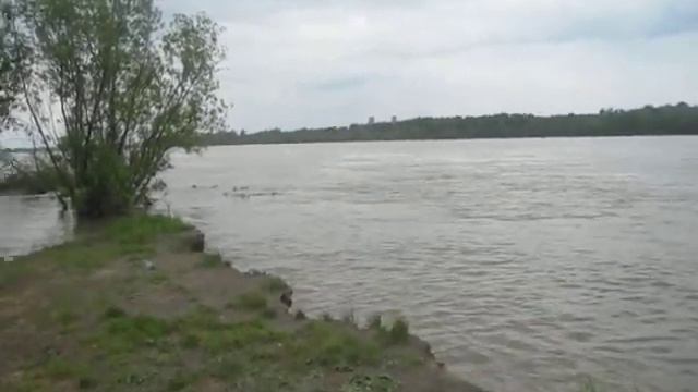 Обь...выходит из берегов! 1.06.2014г. смотреть онлайн