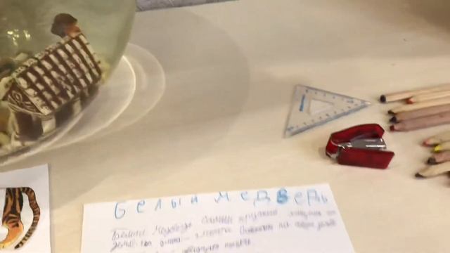 Красная книга 2 класс, задание по Окружающему миру 2 класс смотреть онлайн