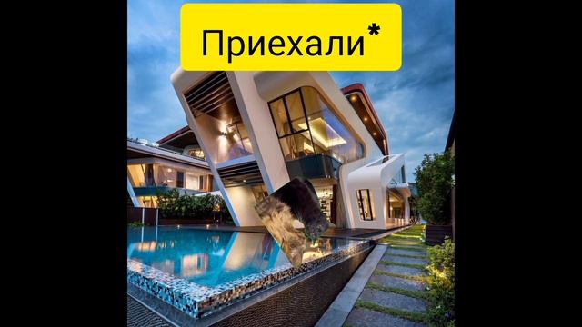 Жизнь котов 2