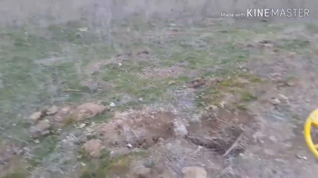 НАШЕЛ МЕДАЛЬ И КУЧУ МОНЕТ. СУПЕР ЗАВЕРШИЛ СЕЗОН !!!!! смотреть онлайн