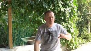 Ультразвуковые отпугиватели грызунов проверяем, работает или нет