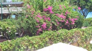 Viking Nona Beach Hotel, garden, pool and sea, Kemer, Turkey. Викинг Нона Отель, Кемер, Турция