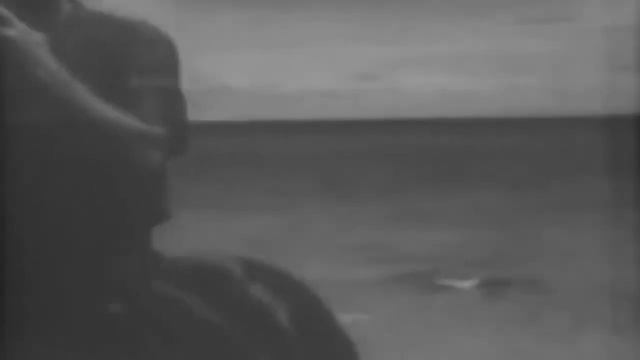 WW2 Volunteers Enlist In Coast Guard Mounted Patrol, Miami, 09/1942 (full) смотреть онлайн