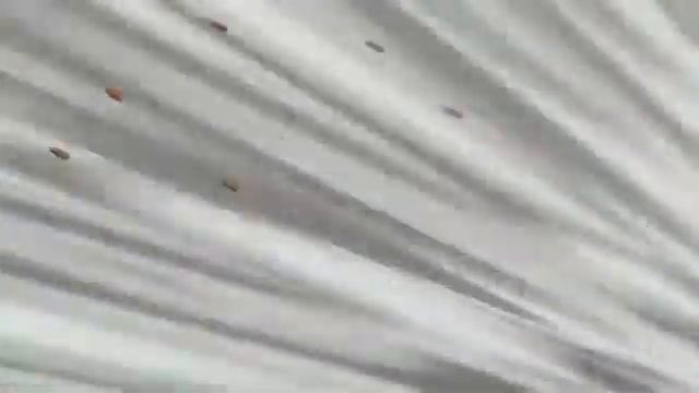 Аниме Грабитель клип- Я не победим на английском смотреть онлайн