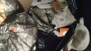 Что можно найти на мусорках Санкт-Петербурга? Находки на мусорке!