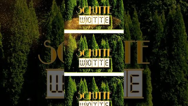 Шютте - Schutte - My Soul Dictionary#shorts смотреть онлайн