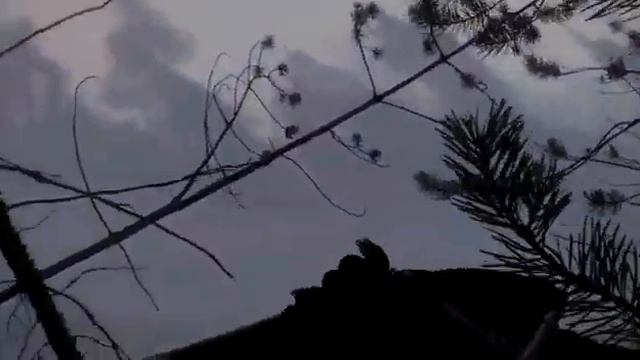По глубокому снегу на рыбалку, Река Тромъёган 2018 год смотреть онлайн