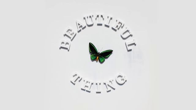 The Stone Roses - Beautiful Thing