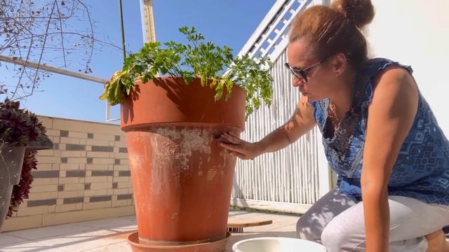 ПОЧЕМУ РЕМОНТИРУЕМ СЪЁМНУЮ КВАРТИРУ / ЗАКУПКА ЦЕНЫ / ОБЕД смотреть онлайн