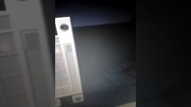 Как в майнкрафте создать собаку смотреть онлайн