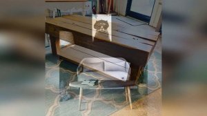 Кофейные и журнальные столики из дерева. Оригинальные идеи своими руками