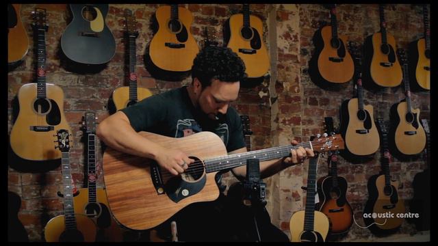 Maton EBW70C Blackwood Series Dreadnought смотреть онлайн