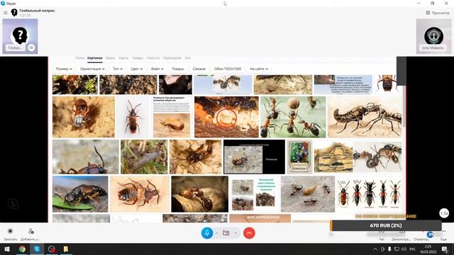 ПАРАЗИТЫ или ЛОМЕХУЗЫ ЧЕЛОВЕЙНИКА смотреть онлайн