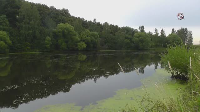 Река не восстановилась. ПАХРА 9 месяцев спустя после отравления. _Марсианское_ дно без рыбы _( смотреть онлайн