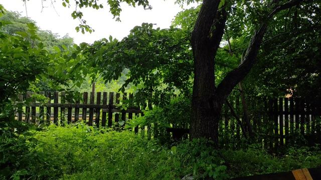 шум дождя, природа, натуральный звук, релакс, музыка для сна, natural sound, rain. смотреть онлайн