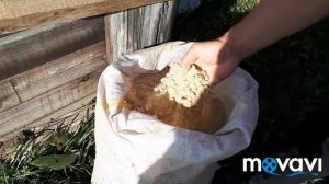 Выделка шкурки кролика. (Часть 1)