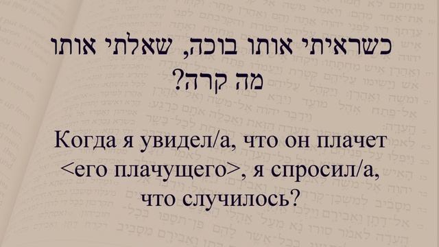 Глаголы в иврите. Спряжение глаголов в предложениях. Глагол 116 