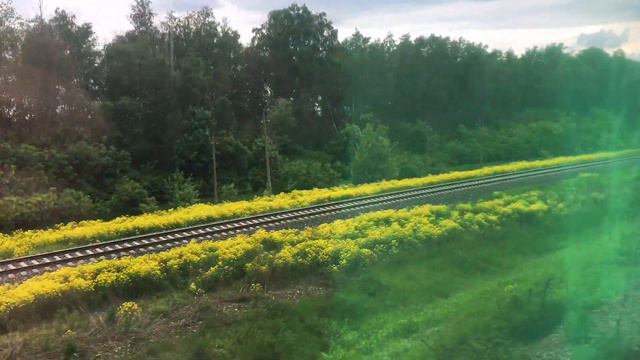 Поездка в Москву: день в поезде и заселение в отель|03.06.2022 смотреть онлайн