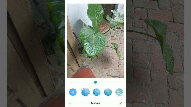 Mi camera blur with out any apk смотреть онлайн