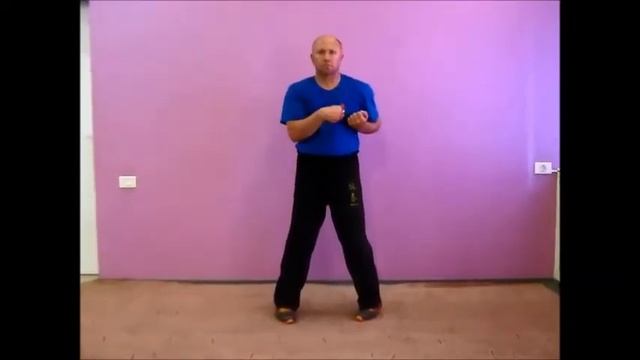 Сиу Лим Тао   Швецов август 2013