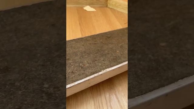 Трюковой самокат научился говорить 1 часть смотреть онлайн