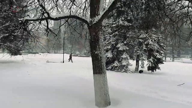 ❄ Снегопад в Твери ❄. 13 февраля 2021 смотреть онлайн
