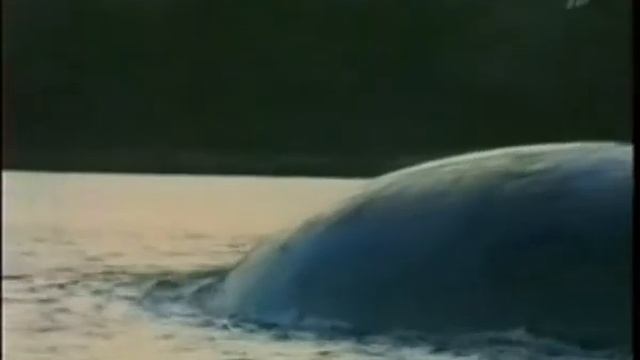 НЛО. Подводные пришельцы Часть 2 смотреть онлайн