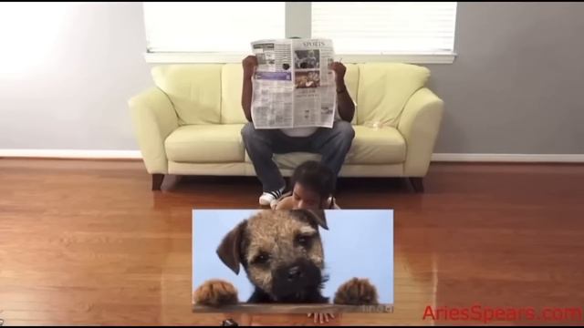 Tiffany Haddish MELTS Down After Being Blacklisted By Hollywood смотреть онлайн