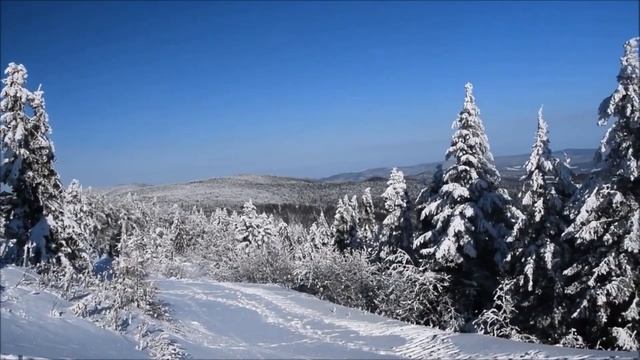 Забеременела от любовника, но муж не знает, боюсь рассказать ему смотреть онлайн