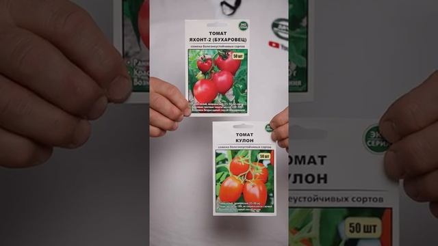 Эти сорта томатов ВЫРАСТУТ БЕЗ РАССАДЫ #shorts смотреть онлайн