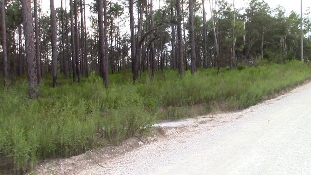 Crazy Robots Firecracker! (good version) смотреть онлайн