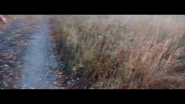 Последний #коп в зоне отселения | Архивное видео, осень 2021 [+18] #копвлесу #копмонет смотреть онлайн