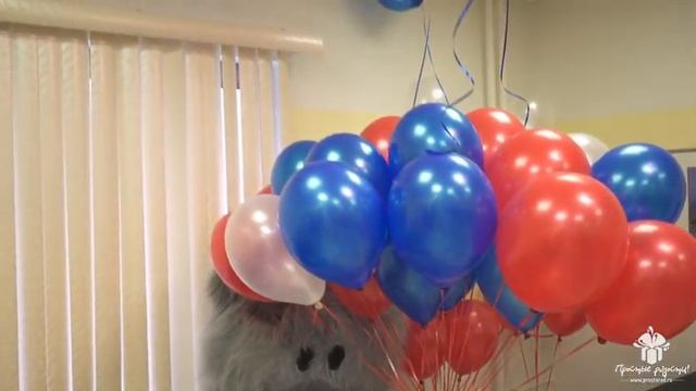 Красивая выписка сыночка из ПМЦ! © Простые Радости смотреть онлайн